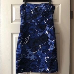 Ann Taylor Dress